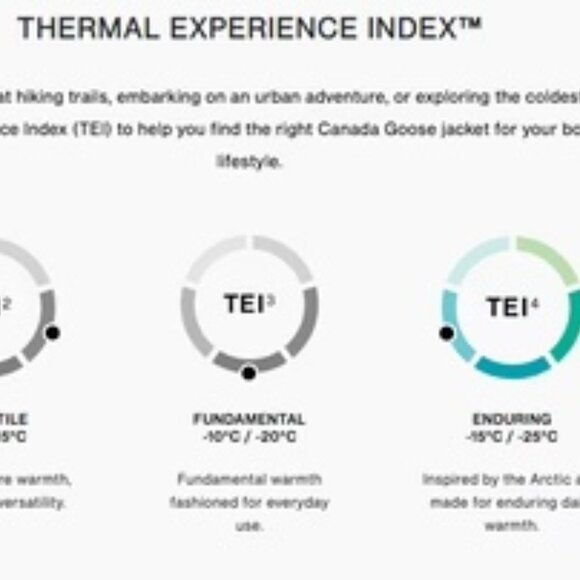 Canada Goose Sherbrooke Parka - Picture 12 of 12